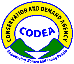 CODEA
